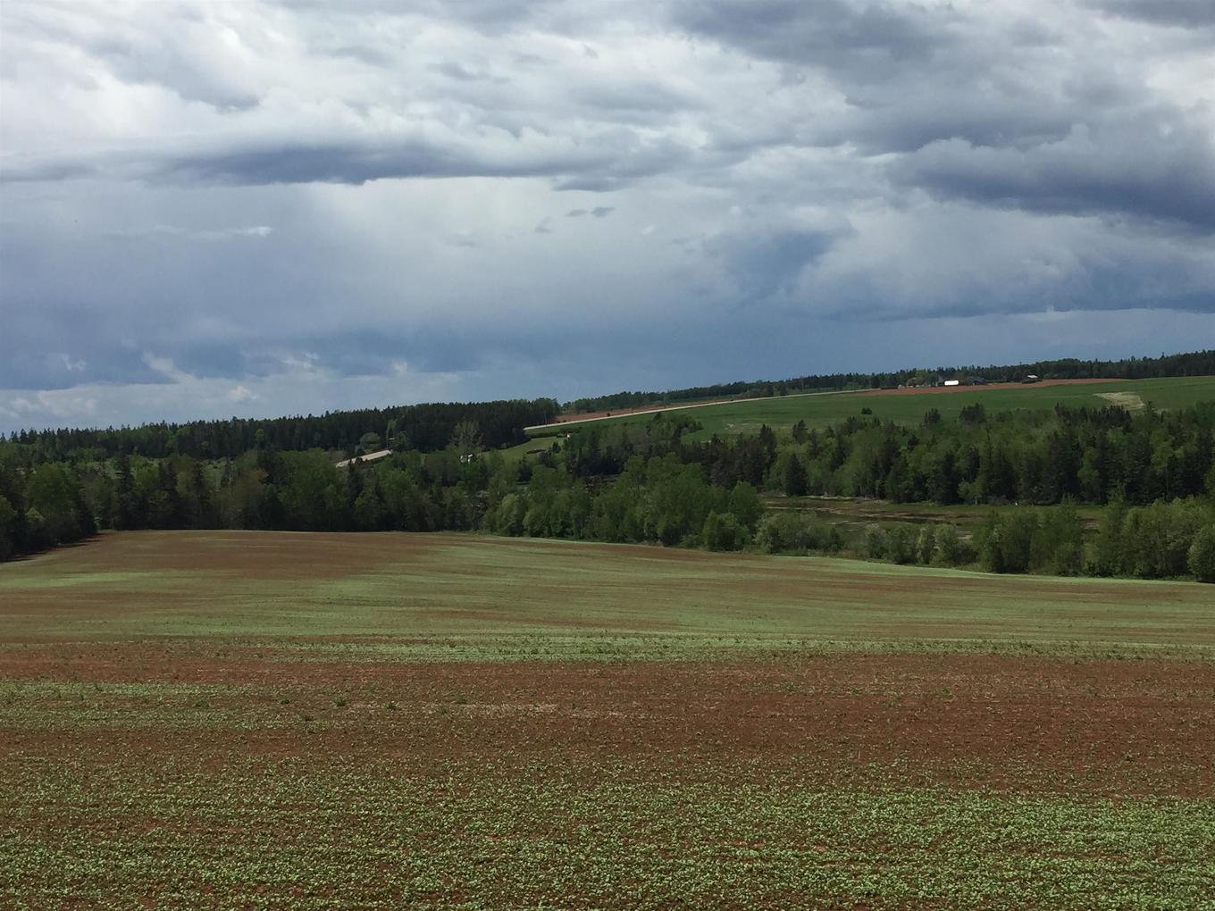 South Melville Road, Desable, PE