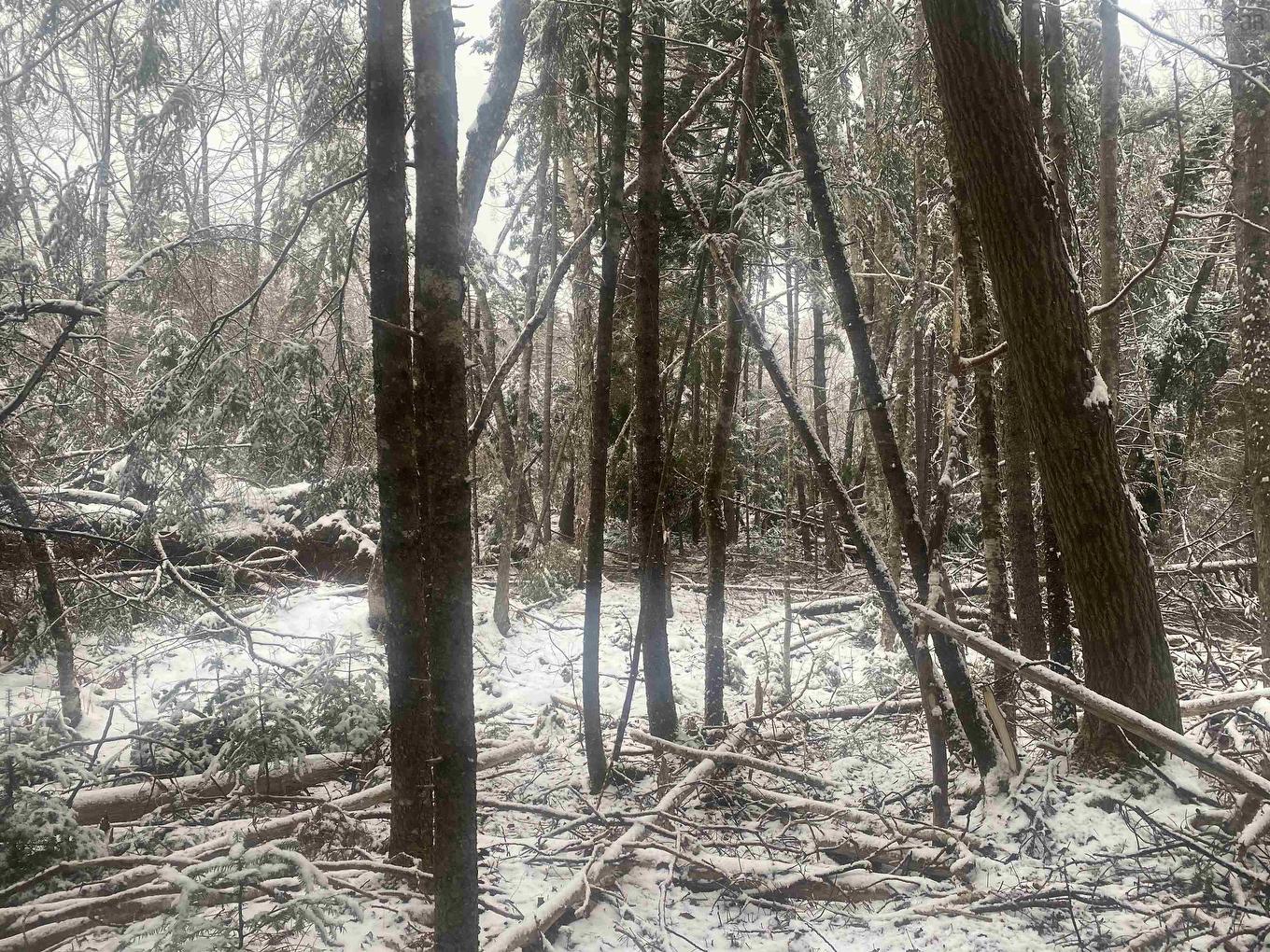 Lot 9 Highway 357, Musquodoboit Harbour, NS