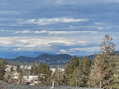 1612 Staple Crescent, Cranbrook, BC - Outdoor With View