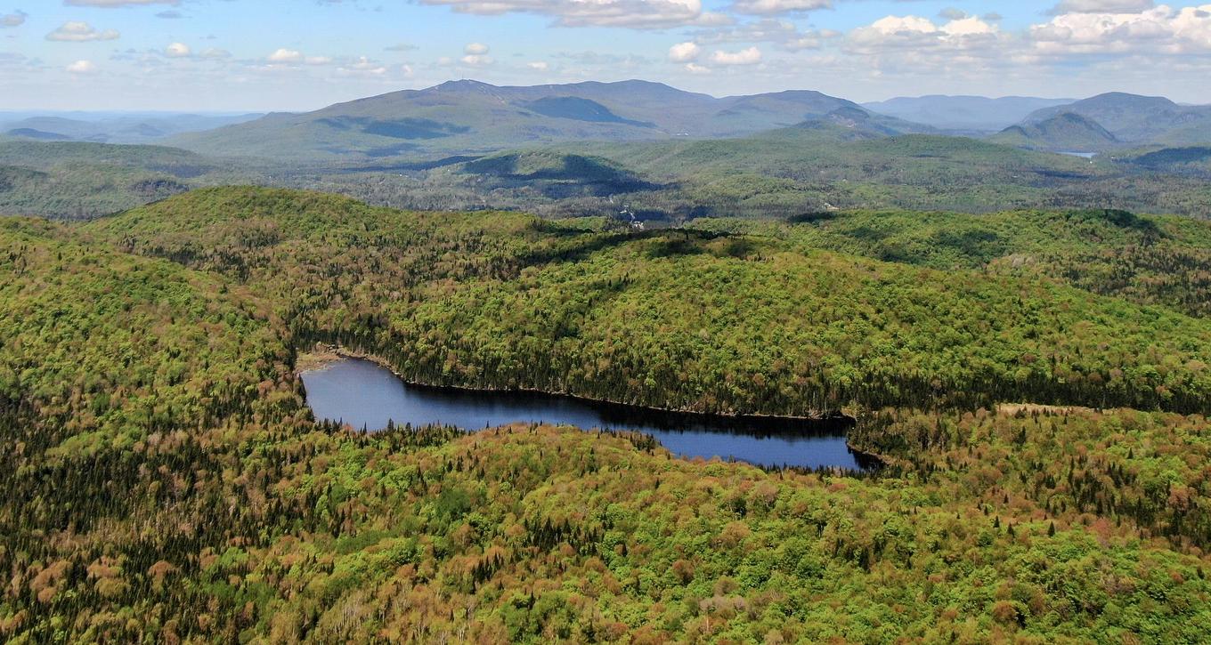 Photo aérienne - Ch. Du Lac-Quenouille, Lac-Supérieur, QC