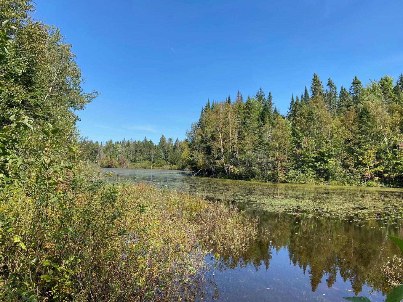 Autre - Ch. Du Lac-Quenouille, Lac-Supérieur, QC