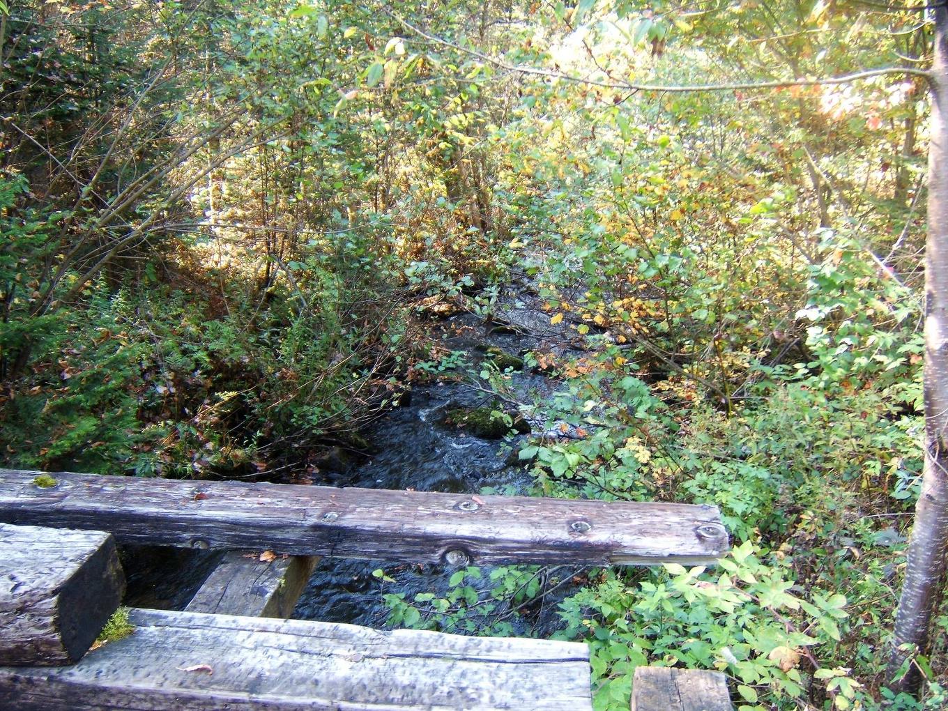 Vue sur l'eau - Ch. Du Lac-Quenouille, Lac-Supérieur, QC
