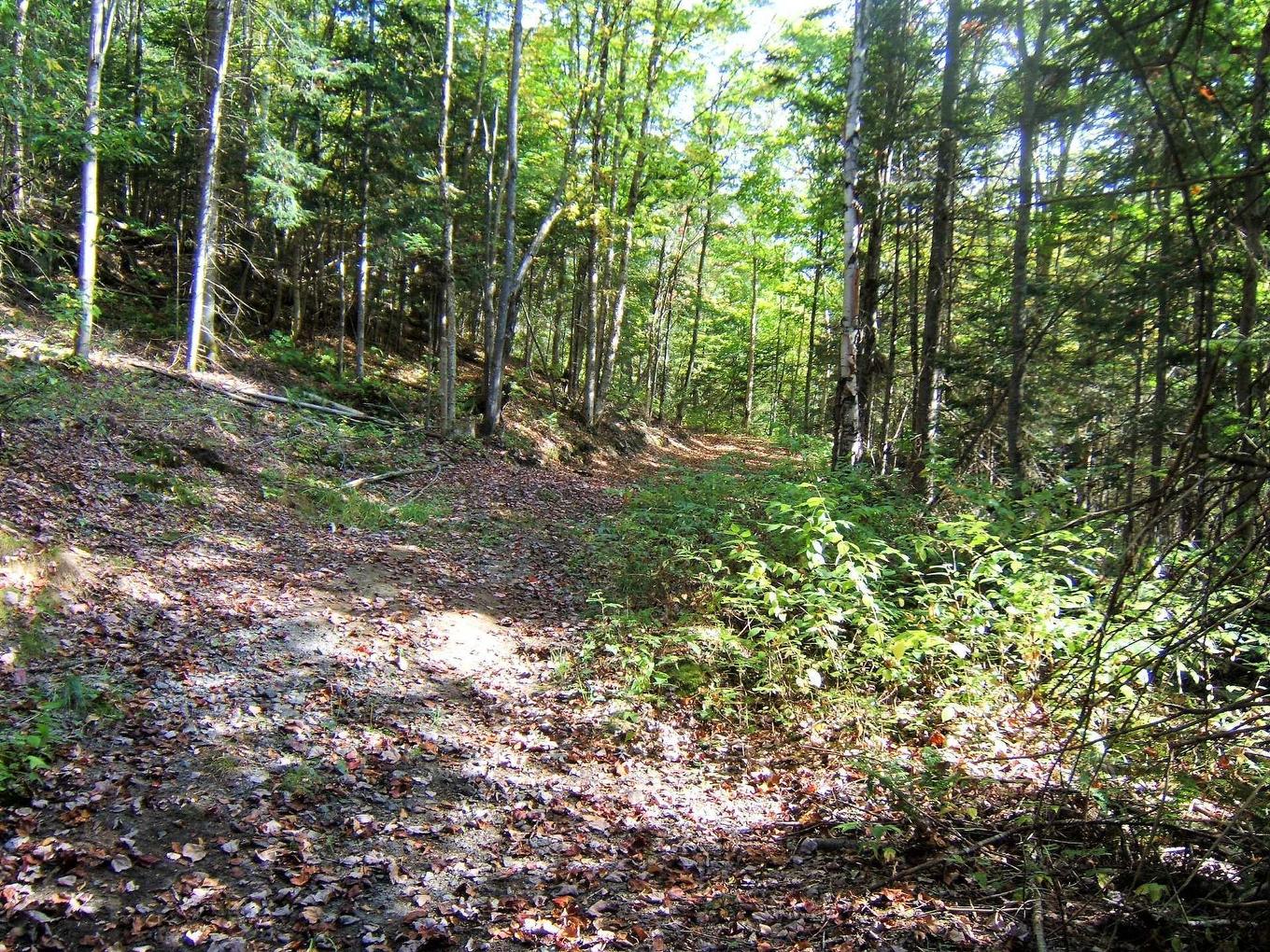 Autre - Ch. Du Lac-Quenouille, Lac-Supérieur, QC
