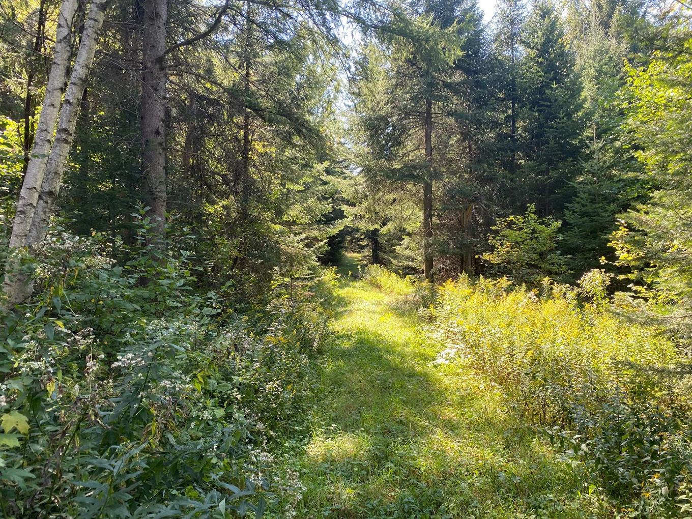 Autre - Ch. Du Lac-Quenouille, Lac-Supérieur, QC