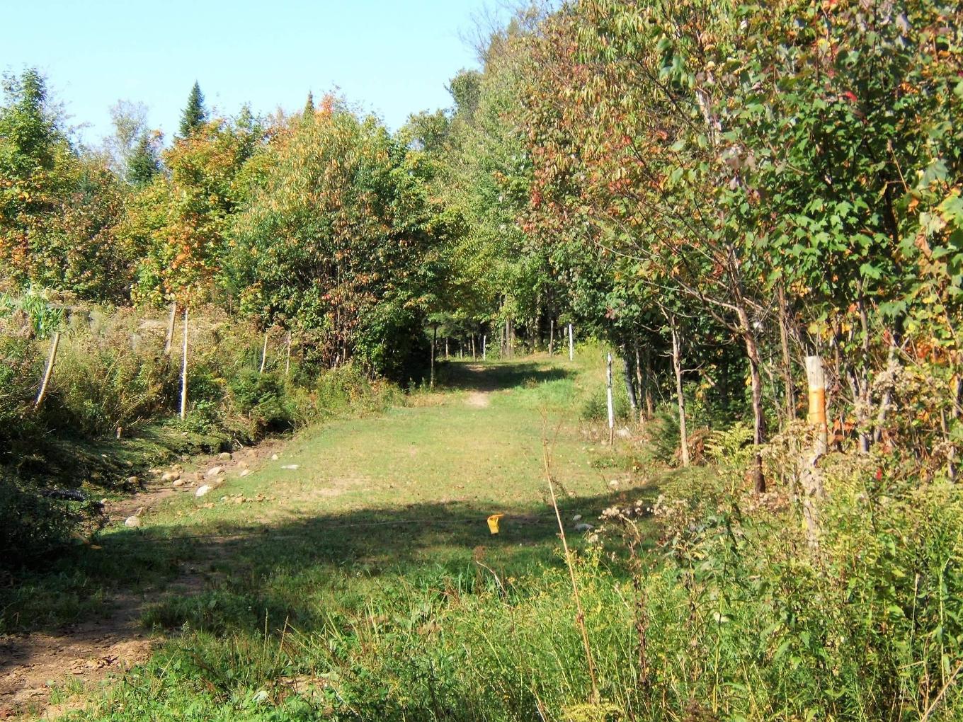 Autre - Ch. Du Lac-Quenouille, Lac-Supérieur, QC