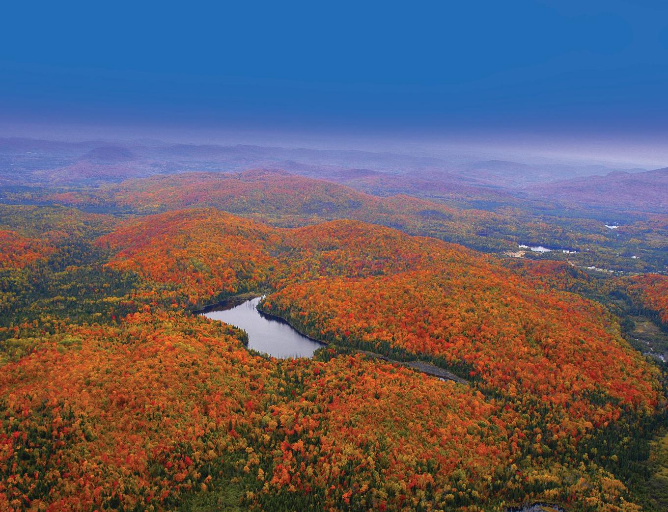 Photo aérienne - Ch. Du Lac-Quenouille, Lac-Supérieur, QC