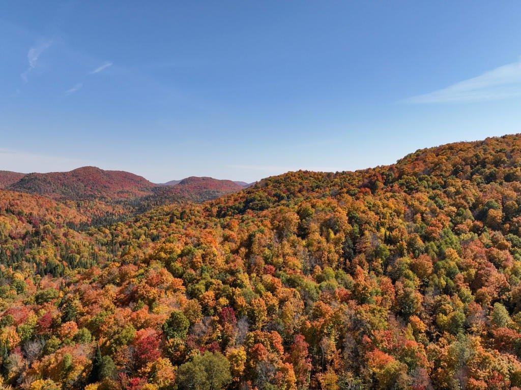 Photo aérienne - Ch. Du Lac-Quenouille, Lac-Supérieur, QC