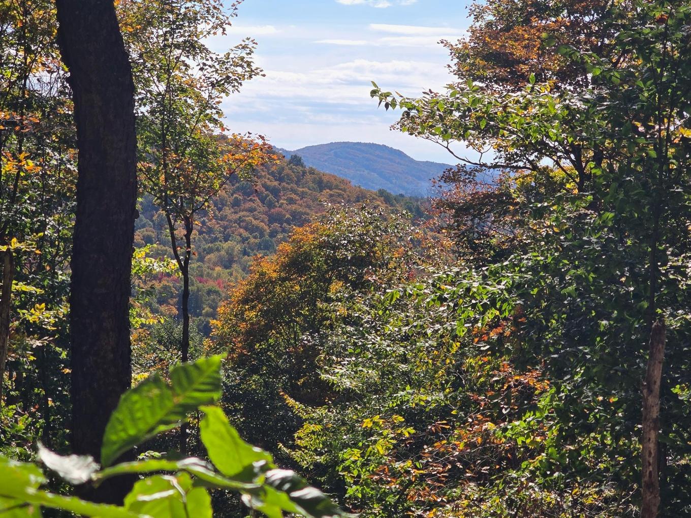 Vue - Ch. Du Lac-Quenouille, Lac-Supérieur, QC