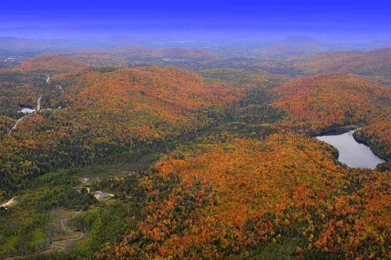 Photo aérienne - Ch. Du Lac-Quenouille, Lac-Supérieur, QC