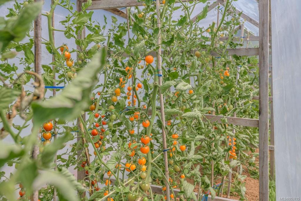 1905 Martin Rd, Gabriola Island, BC - With View