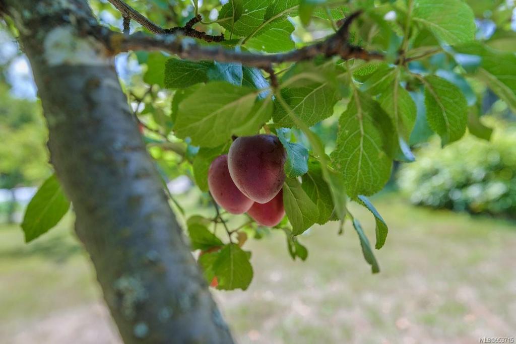 1905 Martin Rd, Gabriola Island, BC - Outdoor With View