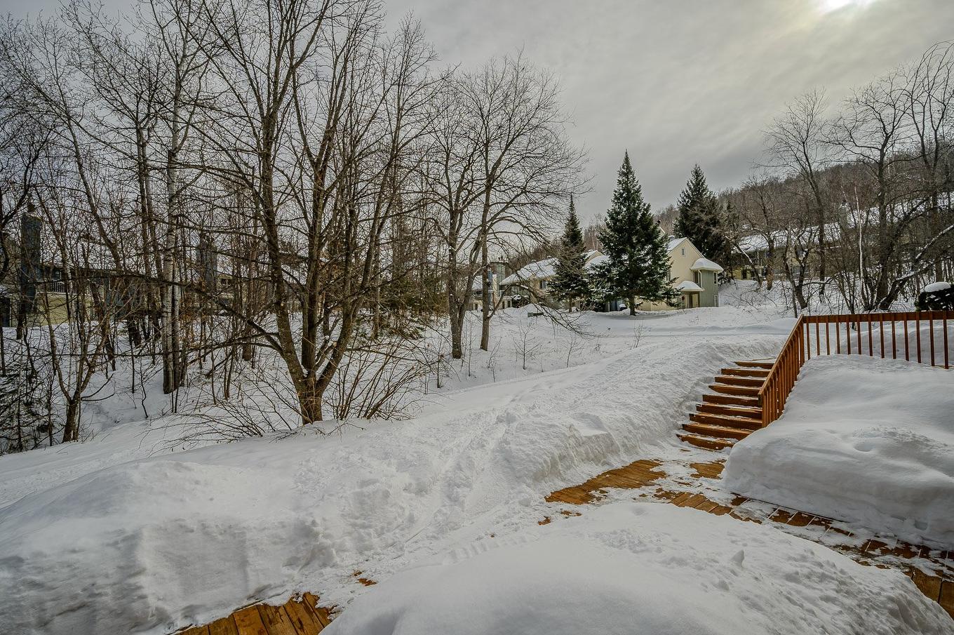 Extérieur - 602 Ch. Du Skieur, Piedmont, QC - Outdoor With View