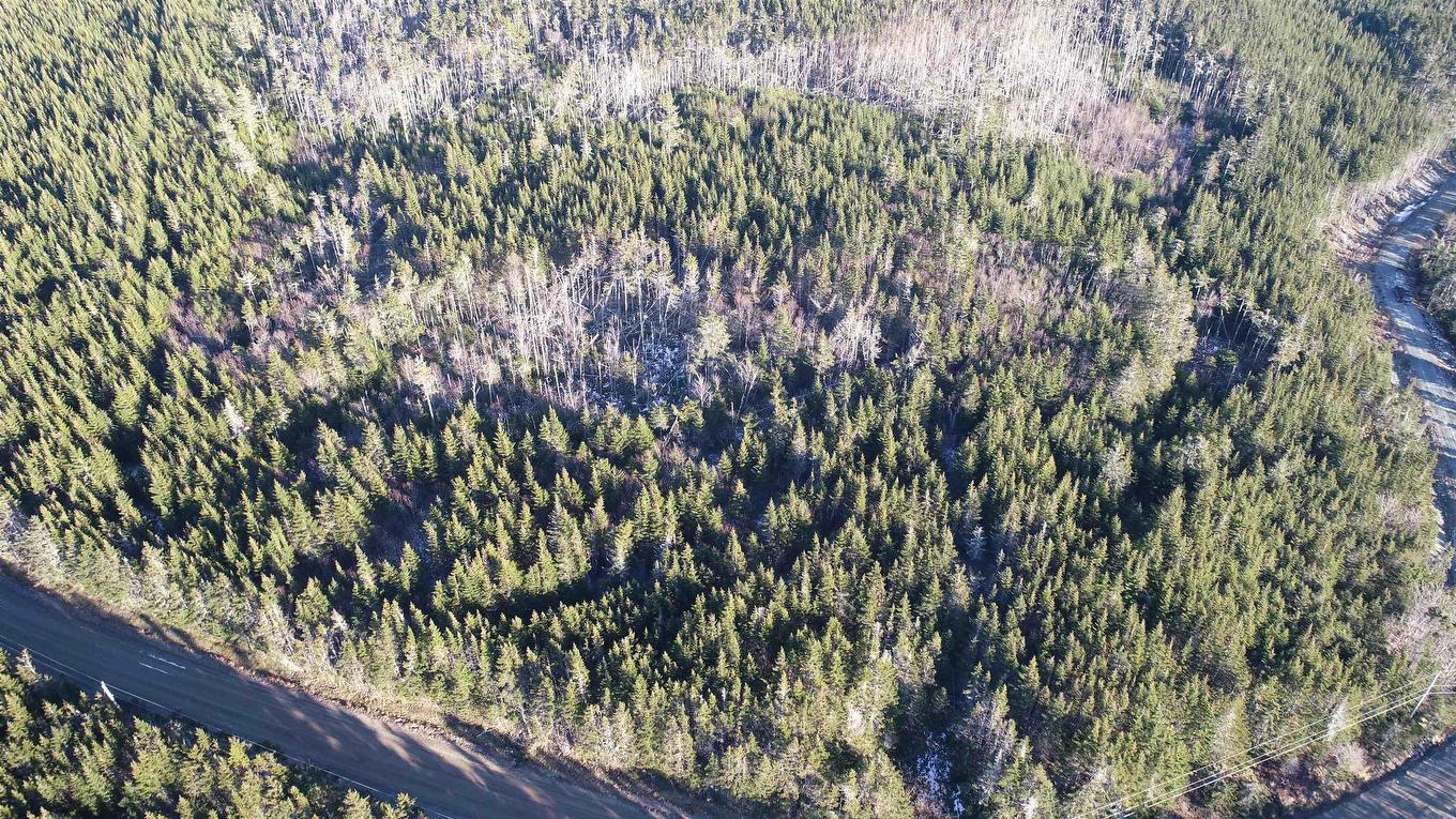 Lot 6 Pyes Head Road, Liscomb, NS