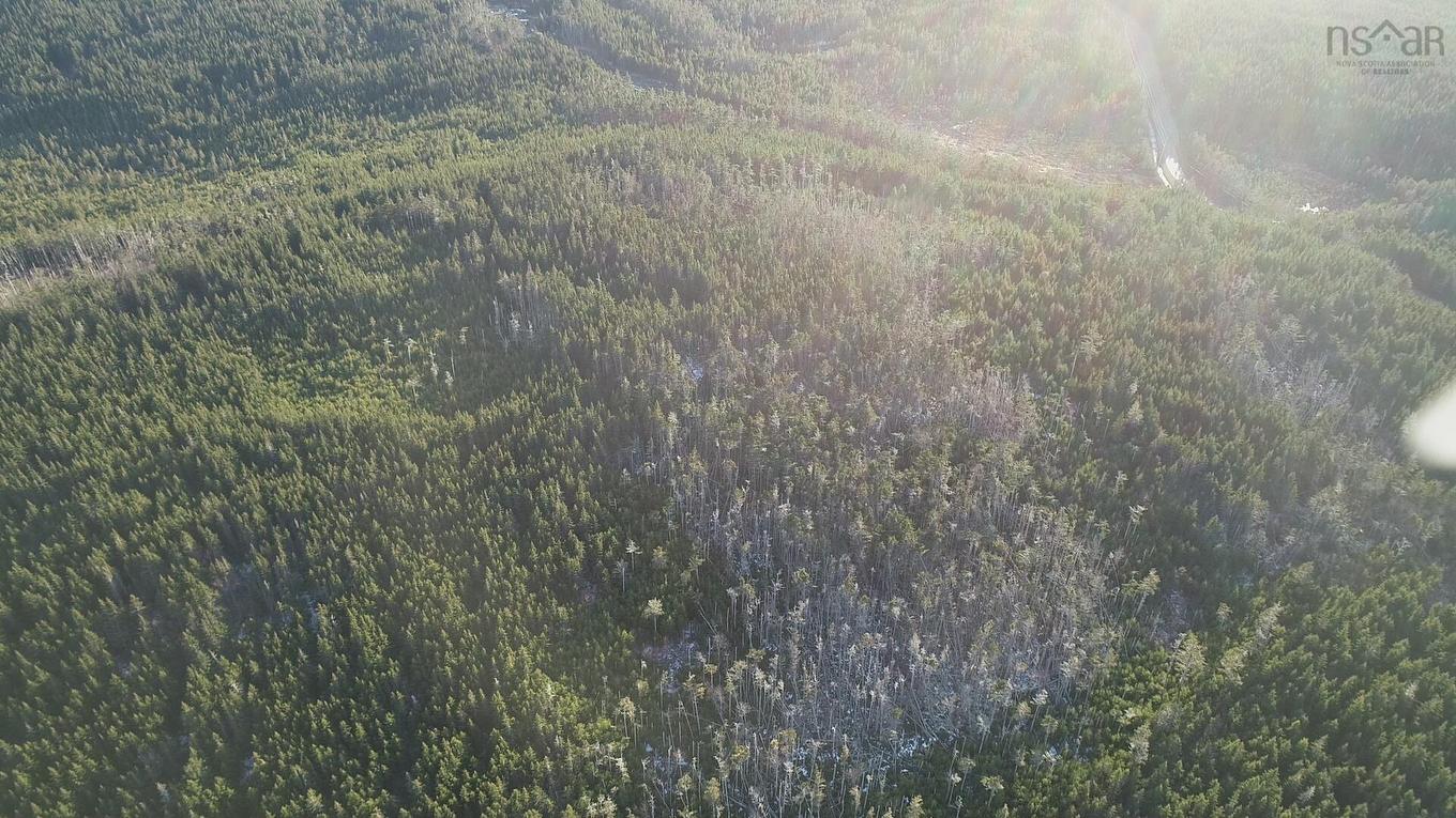 Lot 6 Pyes Head Road, Liscomb, NS