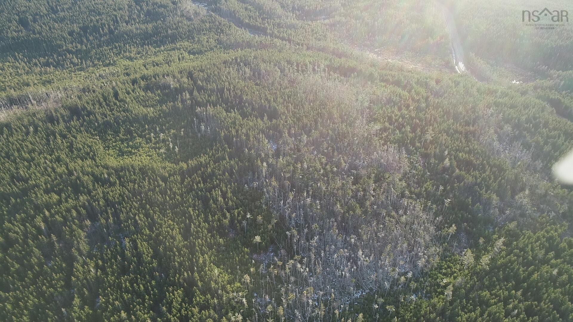 Lot 6 Pyes Head Road, Liscomb, NS