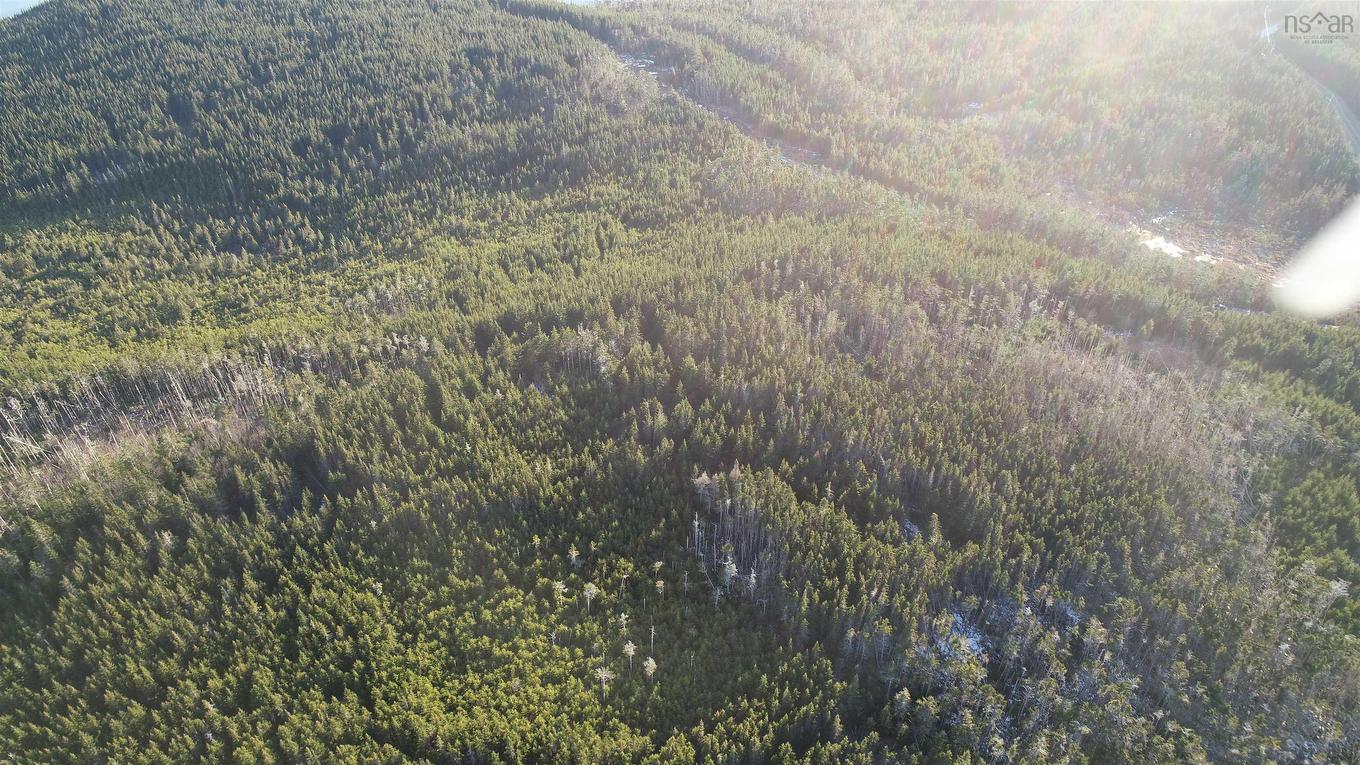 Lot 6 Pyes Head Road, Liscomb, NS