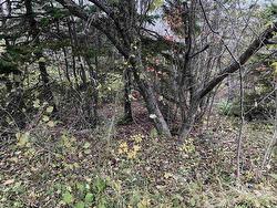 Mapleview Drive North Sydney, NS B2A 3K3