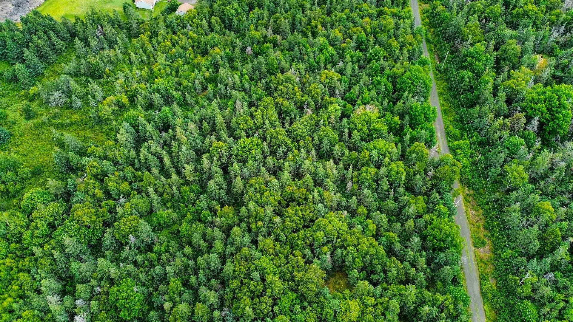Lot 5 Hampton Mountain Road, Hampton, NS