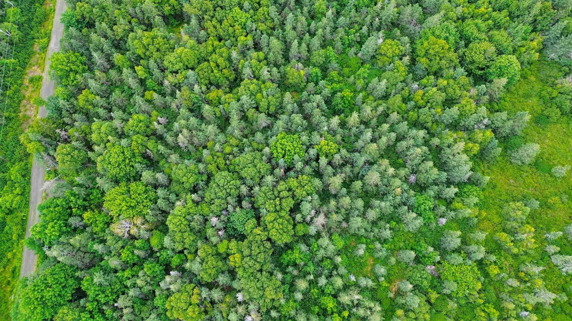 Lot 5 Hampton Mountain Road, Hampton, NS