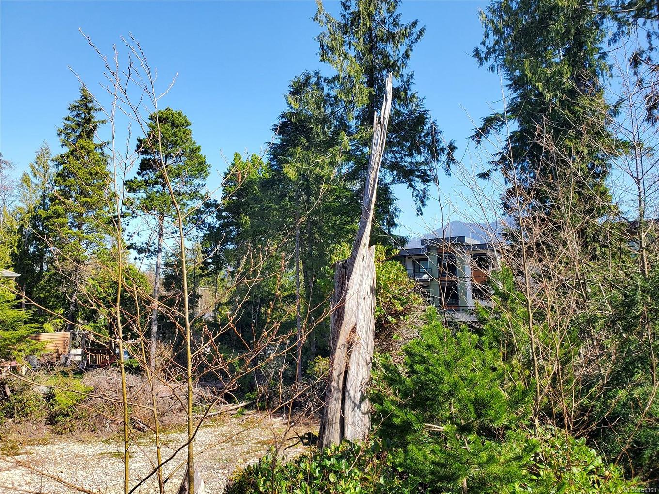 948 Hardy Pl, Tofino, BC