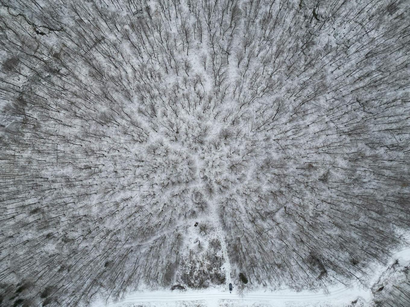 Vue d'ensemble - Ch. White, Harrington, QC