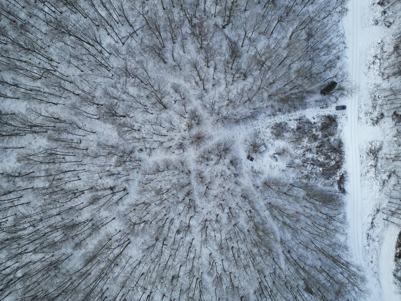 Vue d'ensemble - Ch. White, Harrington, QC