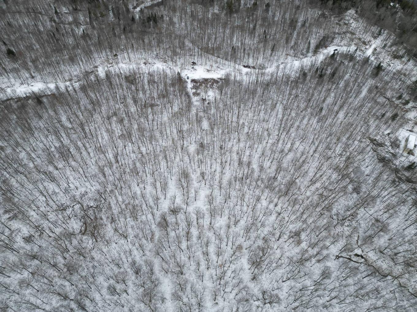 Vue d'ensemble - Ch. White, Harrington, QC