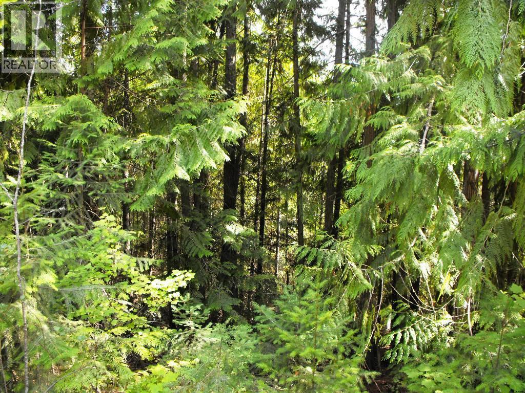 Lot 57 Lonneke Trail, Anglemont, BC