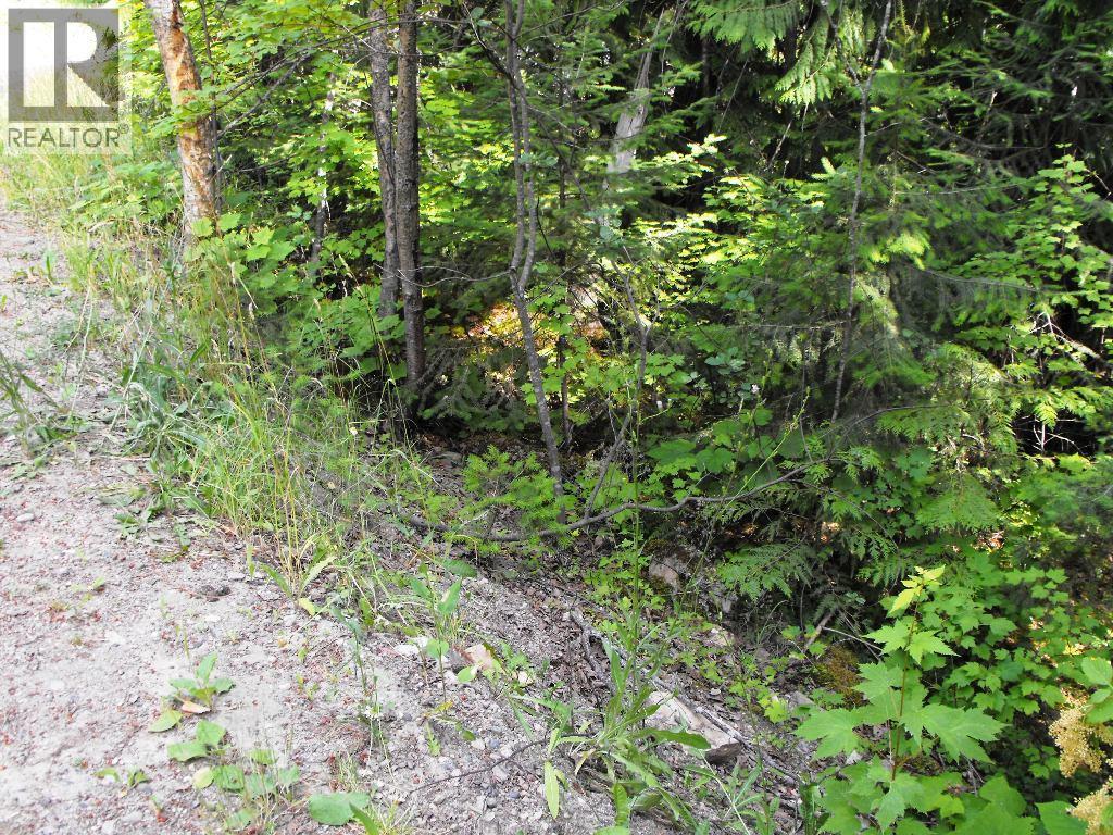 Lot 57 Lonneke Trail, Anglemont, BC