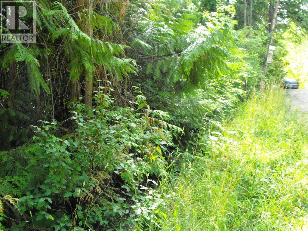 Lot 57 Lonneke Trail, Anglemont, BC