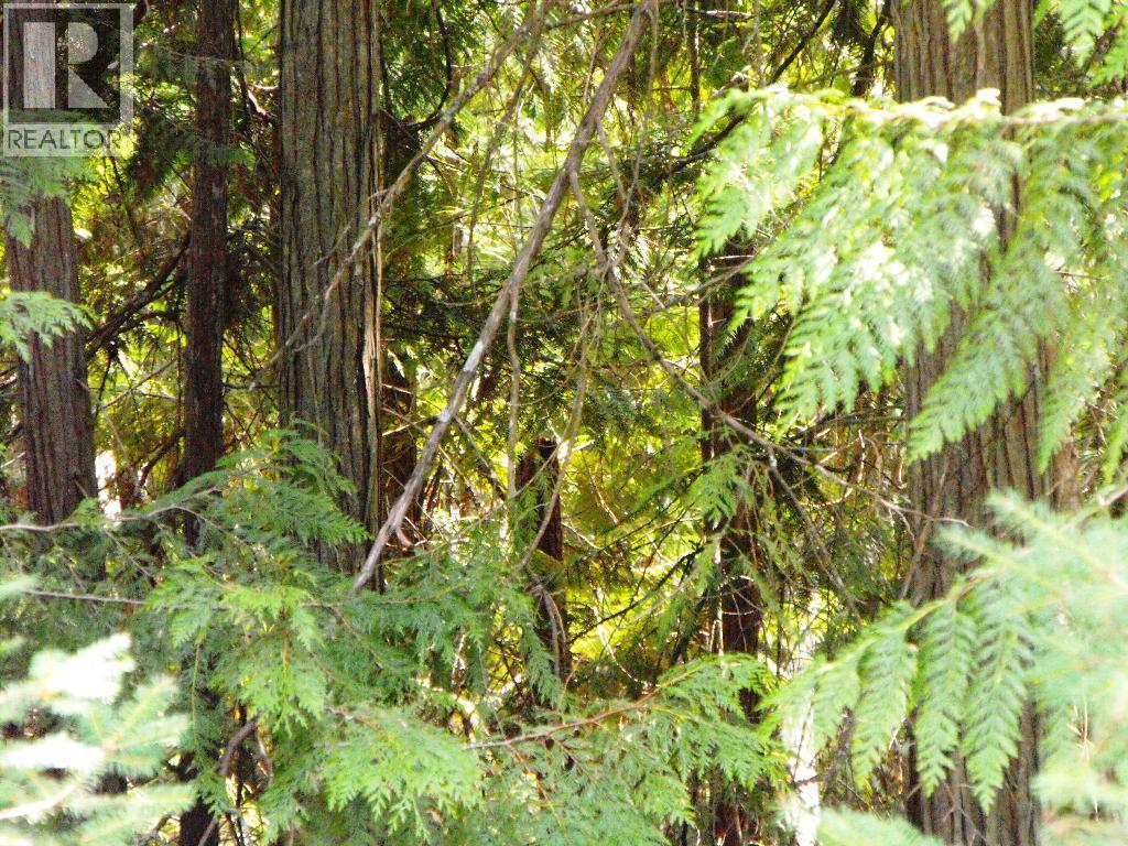 Lot 57 Lonneke Trail, Anglemont, BC