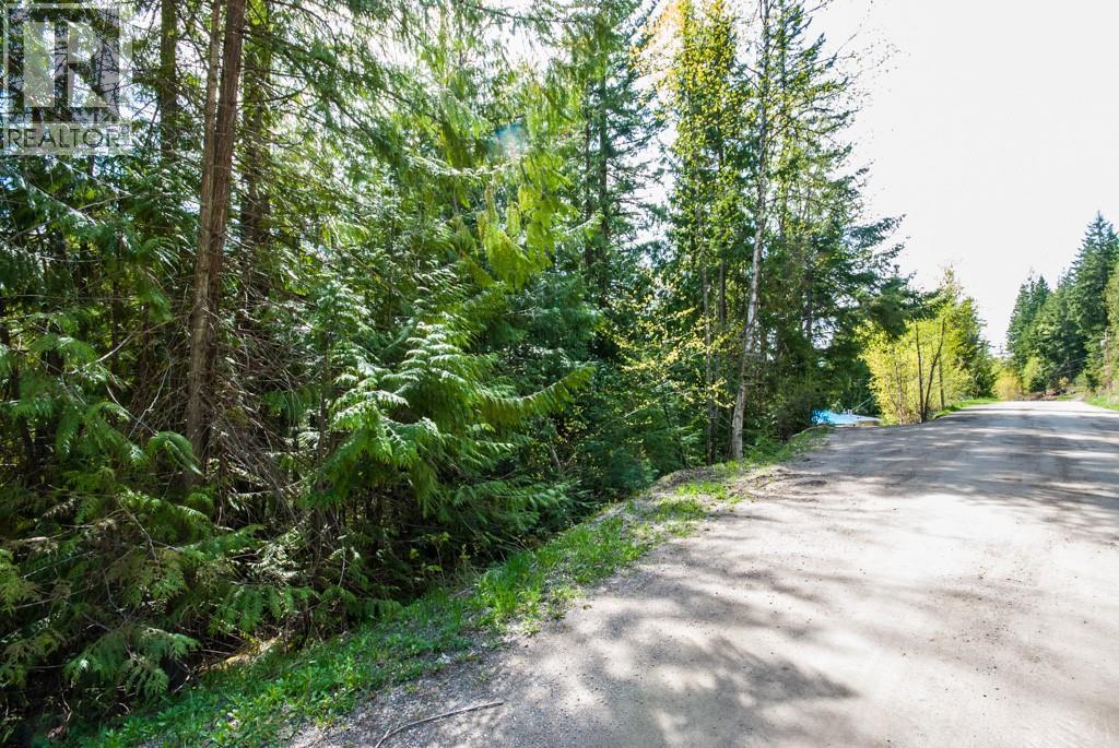 Lot 57 Lonneke Trail, Anglemont, BC