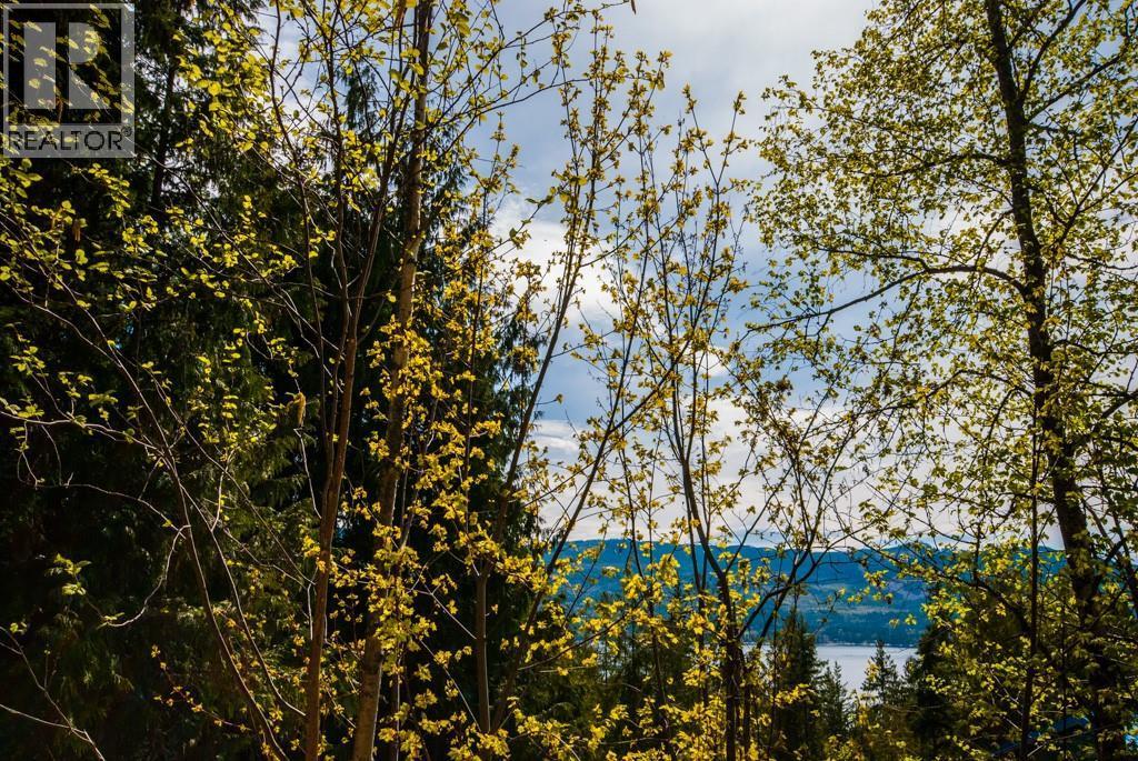 Lot 57 Lonneke Trail, Anglemont, BC