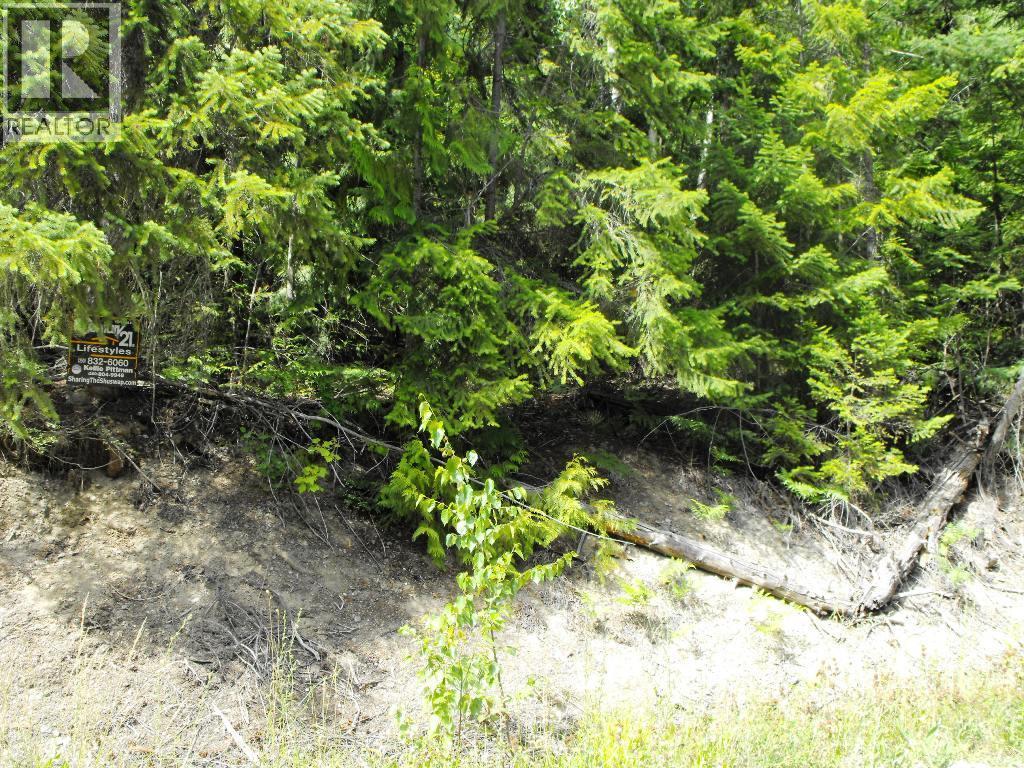 Lot 59 Copper Island Drive, Anglemont, BC