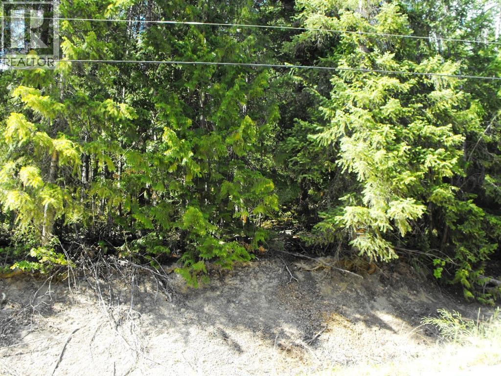 Lot 59 Copper Island Drive, Anglemont, BC