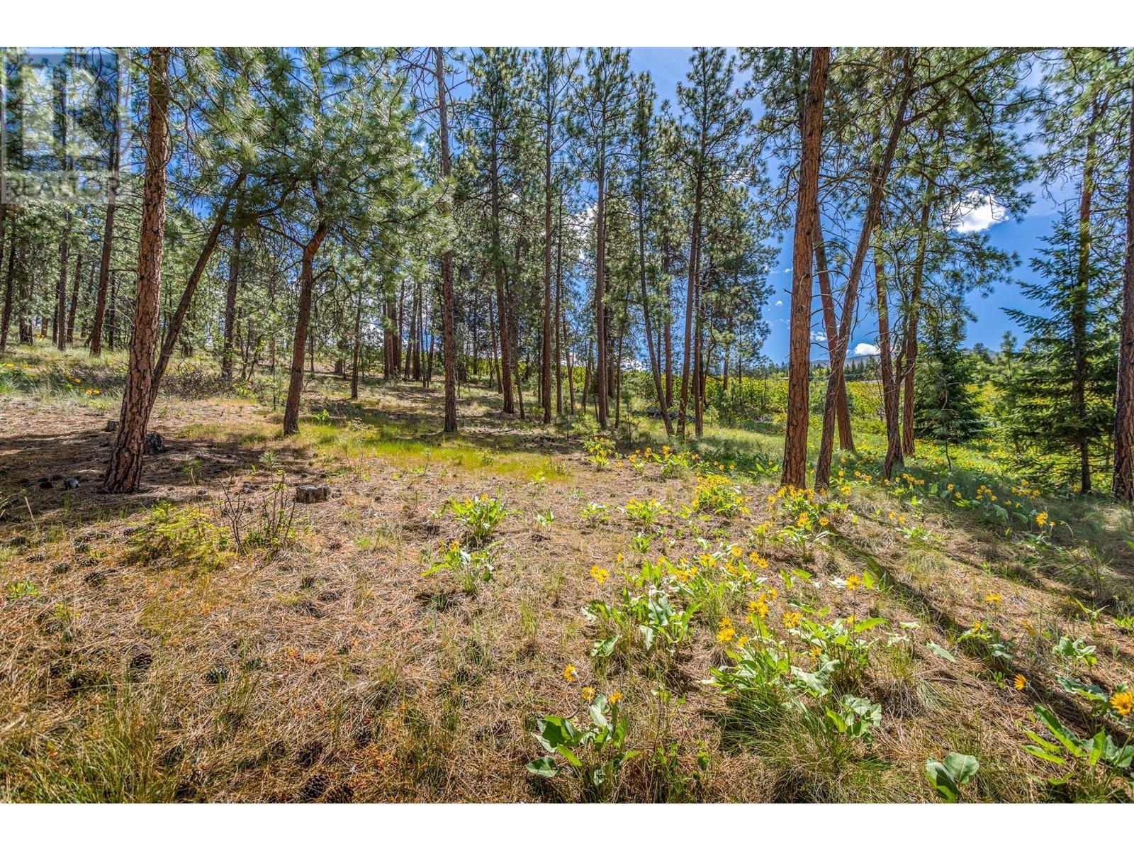 4729 Lakeshore Road, Kelowna, BC - Outdoor With View