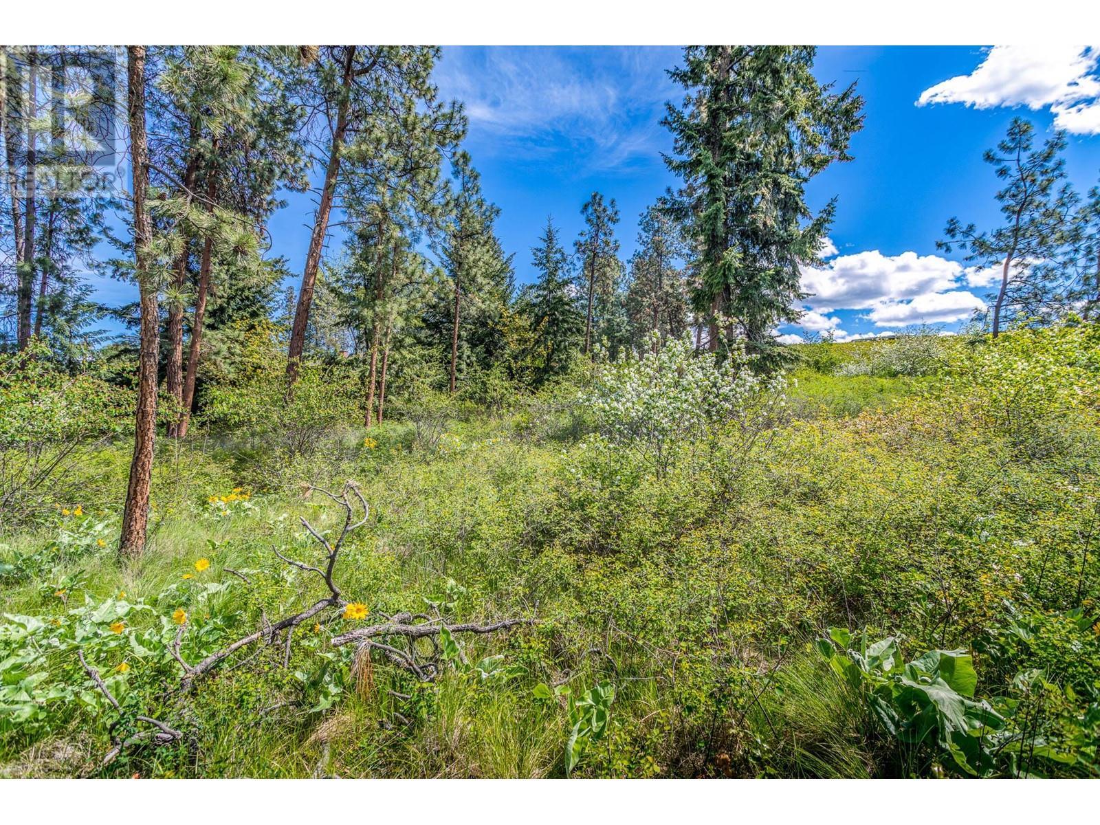 4729 Lakeshore Road, Kelowna, BC - Outdoor With View