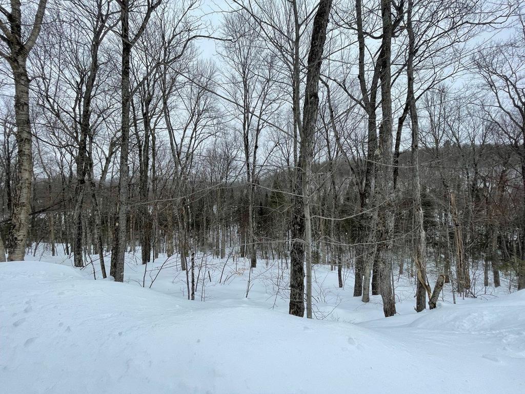 Land/Lot - Rue Dastou, Sainte-Marguerite-Du-Lac-Masson, QC