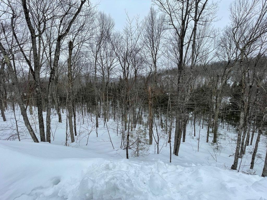Land/Lot - Rue Dastou, Sainte-Marguerite-Du-Lac-Masson, QC