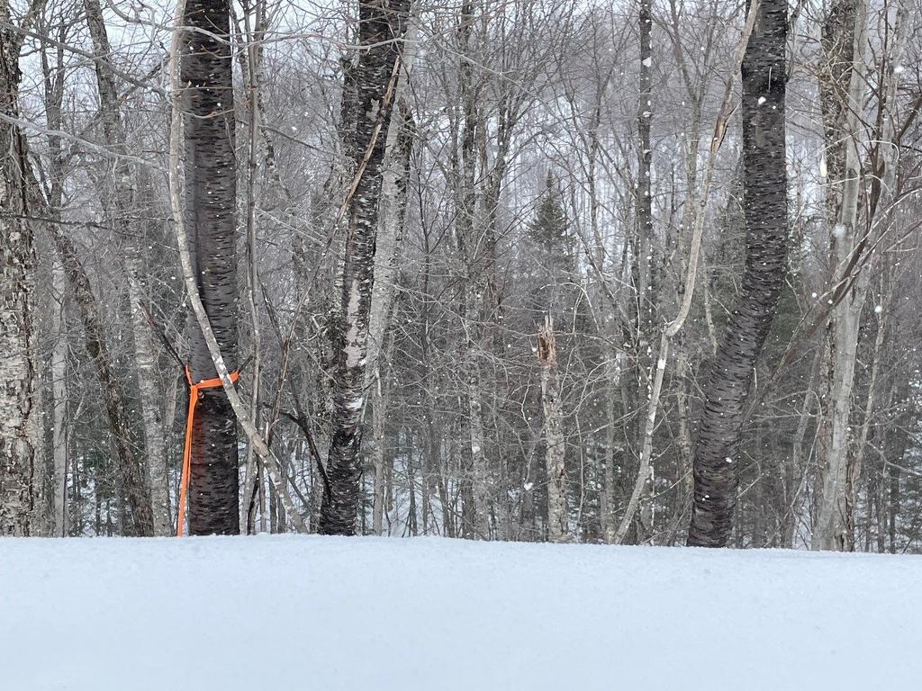 Land/Lot - Rue Dastou, Sainte-Marguerite-Du-Lac-Masson, QC