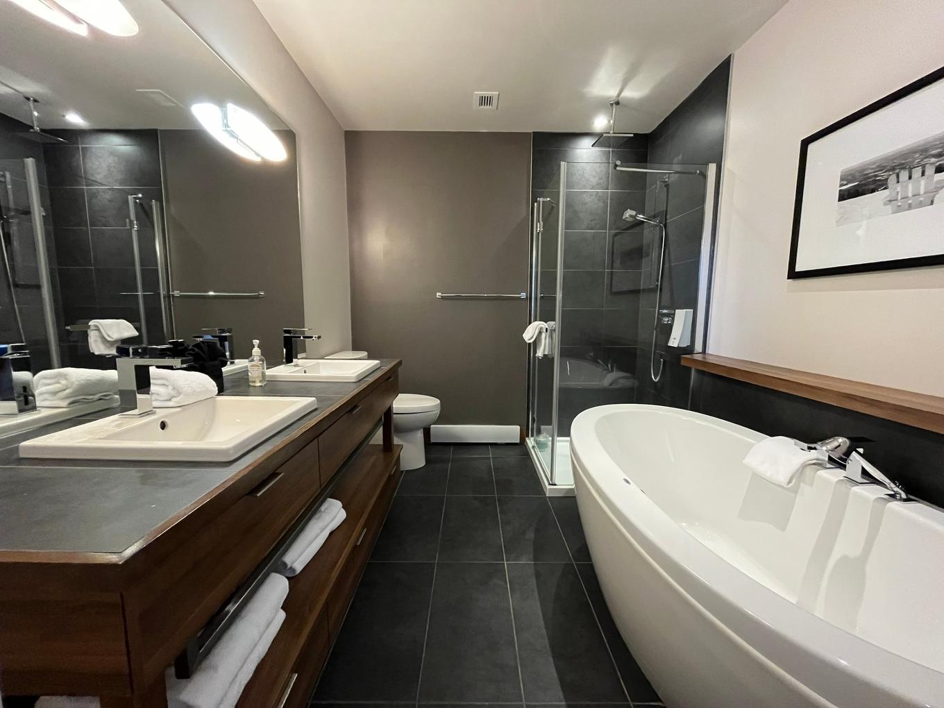 Bathroom - 3202-2240 Ch. Du Lac-Supérieur, Lac-Supérieur, QC - Indoor Photo Showing Bathroom