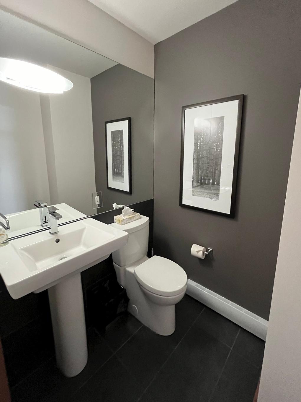 Powder room - 3202-2240 Ch. Du Lac-Supérieur, Lac-Supérieur, QC - Indoor Photo Showing Bathroom