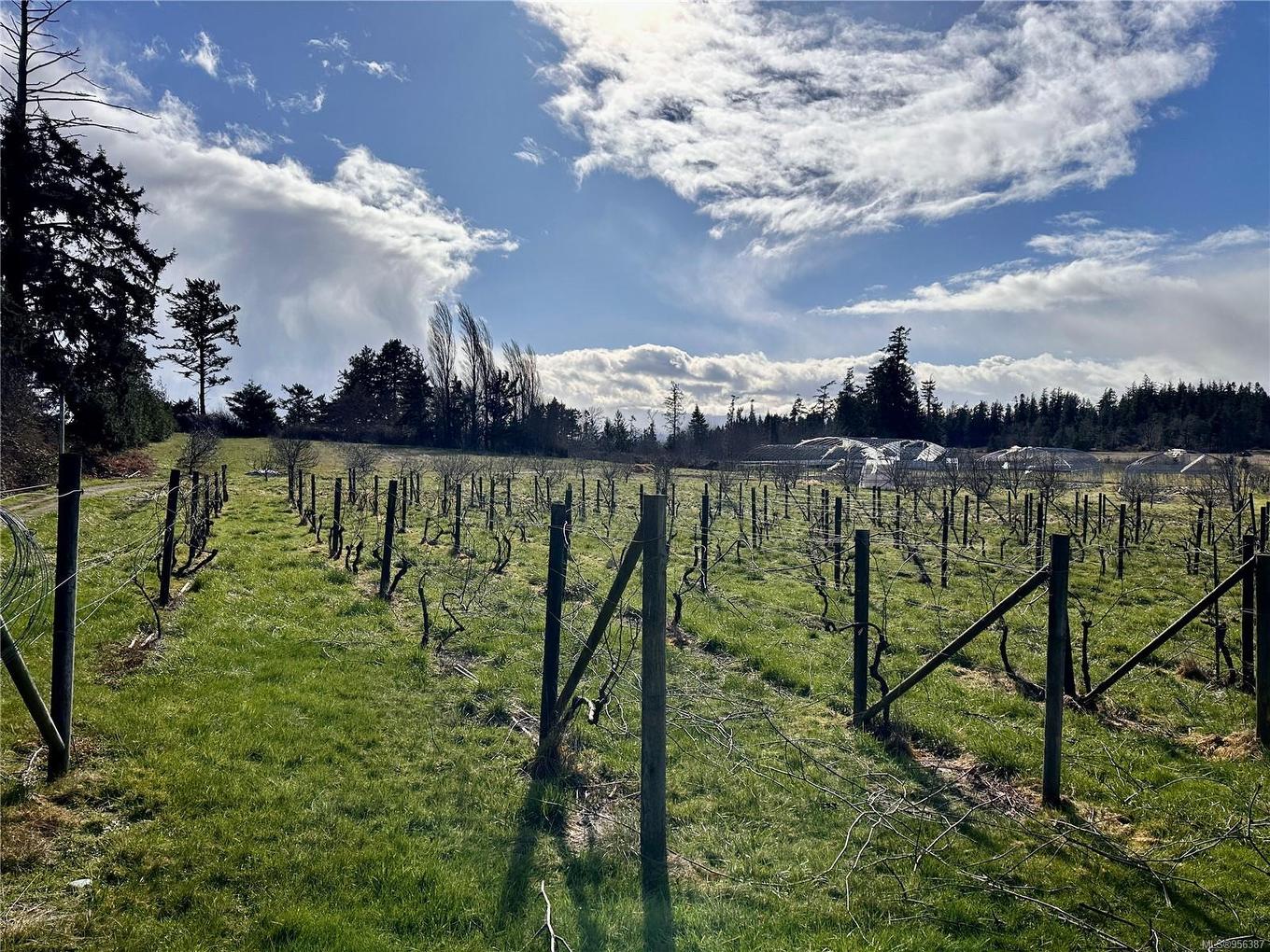 243 Cape Mudge Rd, Quadra Island, BC - Outdoor With View