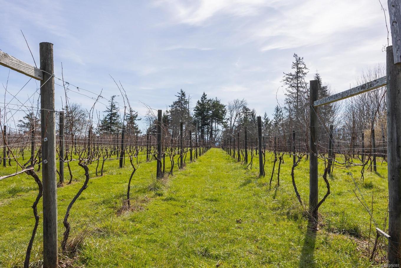 243 Cape Mudge Rd, Quadra Island, BC - Outdoor With View