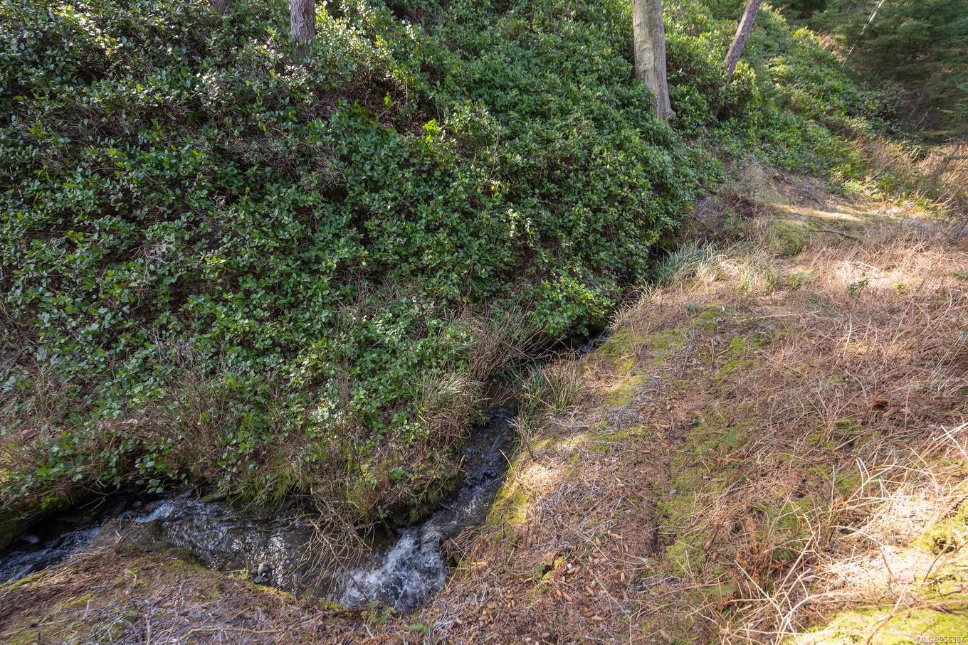 243 Cape Mudge Rd, Quadra Island, BC - Outdoor