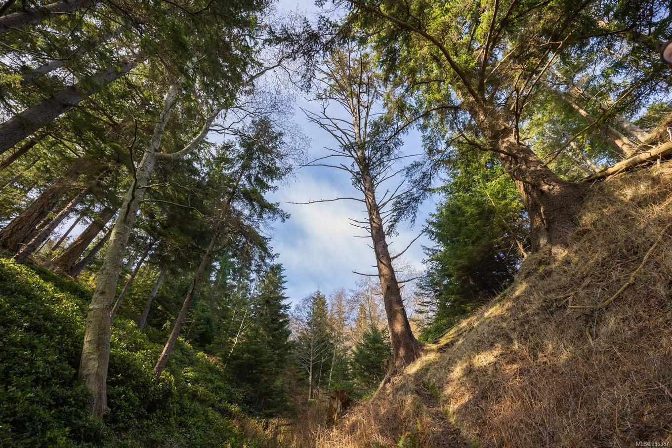 243 Cape Mudge Rd, Quadra Island, BC - Outdoor With View