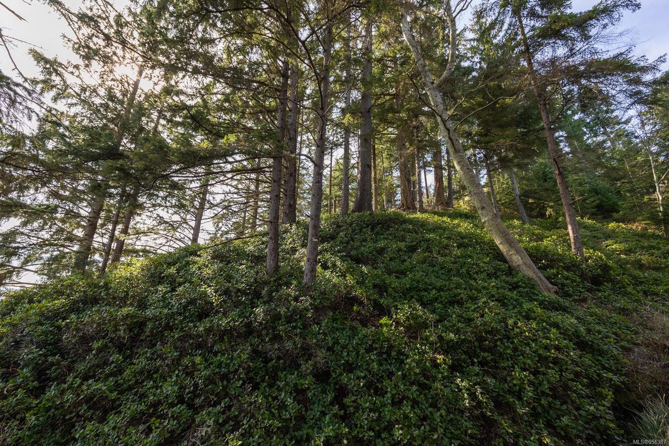 243 Cape Mudge Rd, Quadra Island, BC - Outdoor