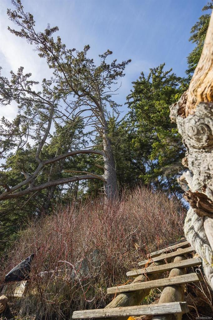 243 Cape Mudge Rd, Quadra Island, BC - Outdoor With View