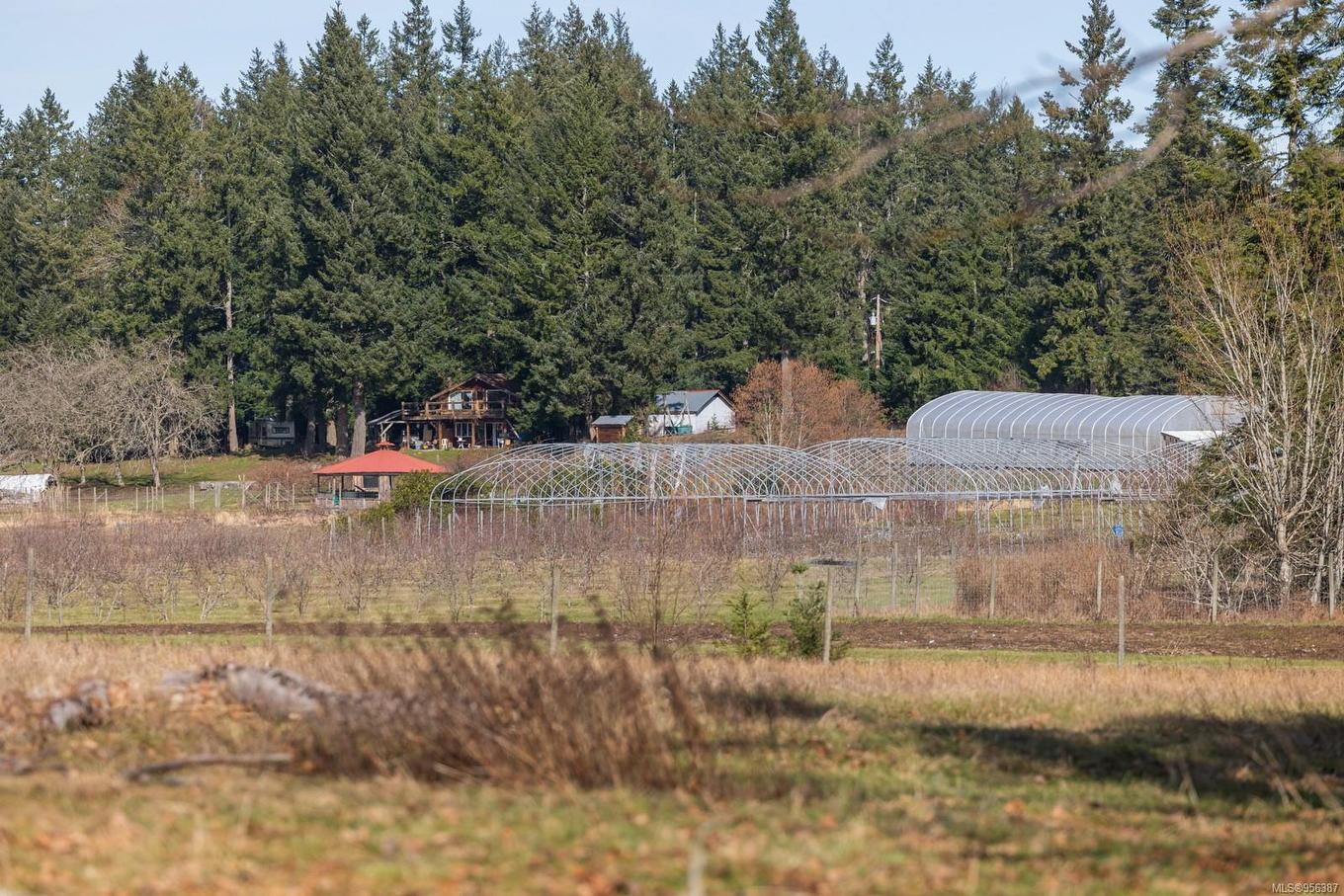 243 Cape Mudge Rd, Quadra Island, BC - Outdoor