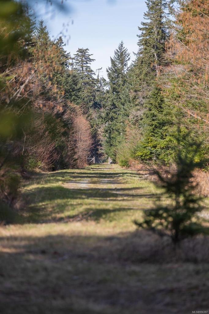 243 Cape Mudge Rd, Quadra Island, BC - Outdoor With View